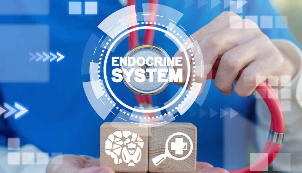 endocrine disorders, Endocrine System Human Medicine
