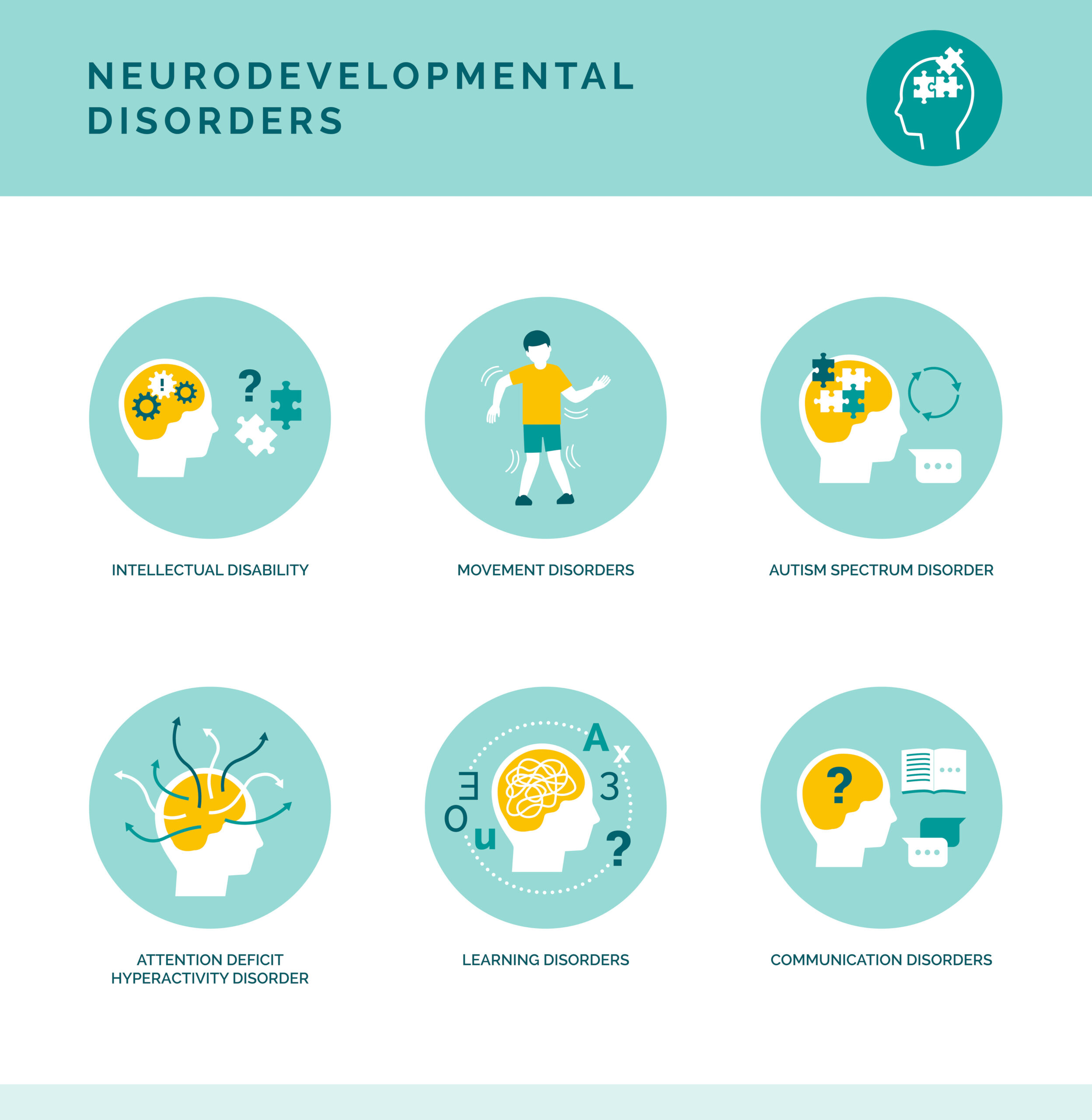 Brain Health Across Lifespan  Neurodevelopmental Disorder