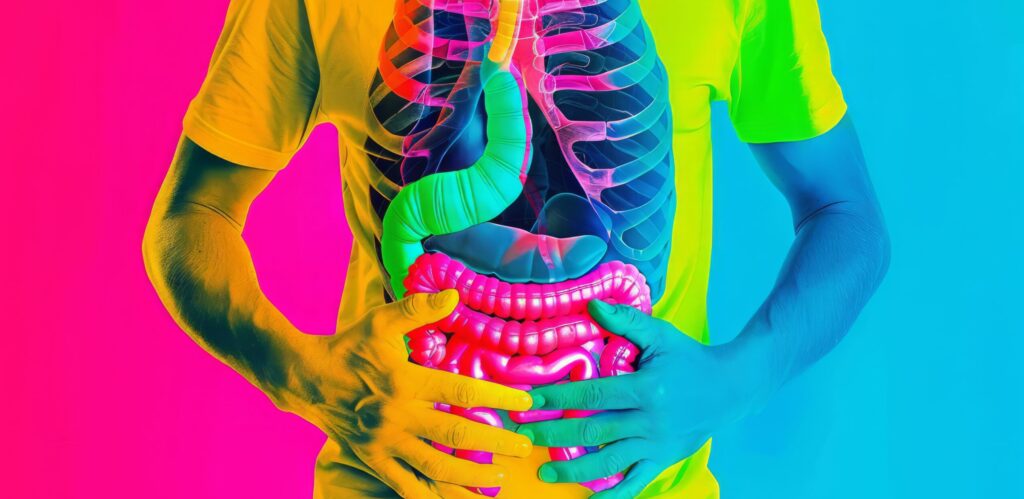 small intestine transplant